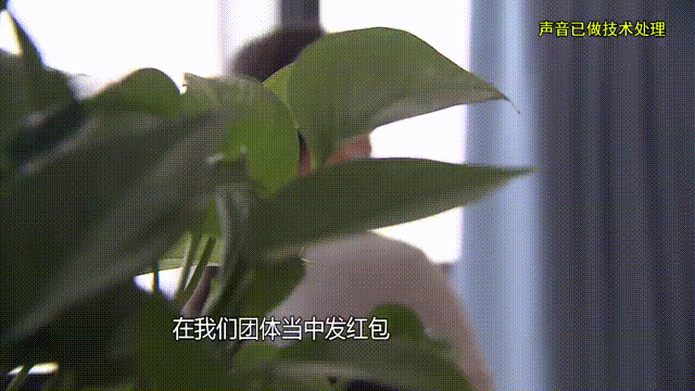 介绍个信用网址多少
_37岁痴情女子倾尽百万泡面果腹仍坚持转账：帮介绍个信用网址多少
他有种使命感